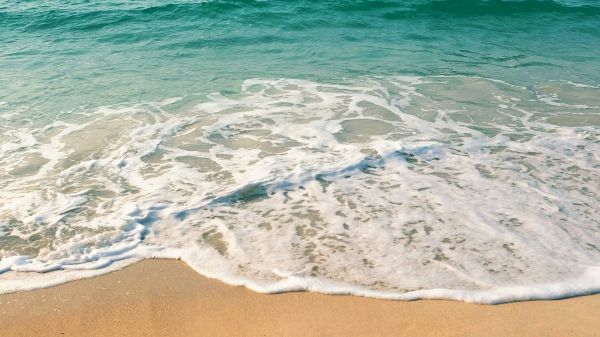A sandy beach with gentle waves lapping at the shore under a clear blue sky.