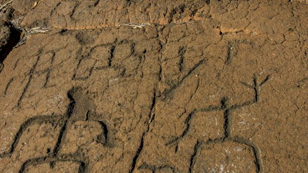 The image shows ancient petroglyphs carved into a rock surface, featuring geometric and abstract shapes, likely created by early humans.