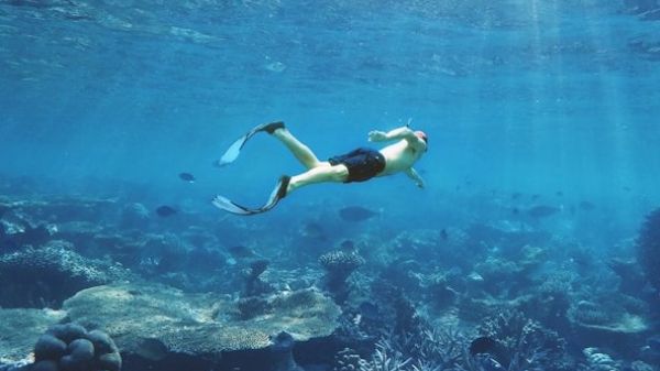 A snorkeler floats above a vibrant coral reef underwater, surrounded by sunlight and marine life in a serene ocean scene.