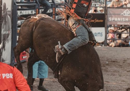 A rodeo scene with a cowboy riding a bucking bull, surrounded by onlookers and event staff, highlighting the dynamic action.