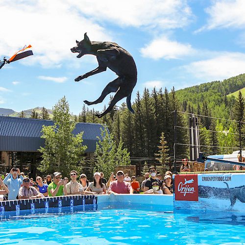 A dog is leaping into a pool to catch a toy, with a crowd watching at an outdoor event.