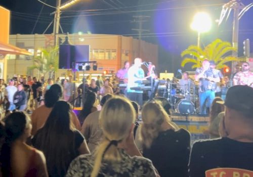 A crowd watches a band performing outdoors at night, with string lights overhead and palm trees visible in the background.