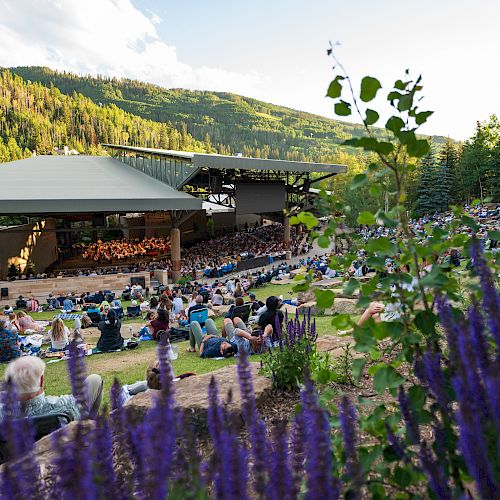 An outdoor concert in a scenic, mountainous area with purple flowers in the foreground and people seated on grass.