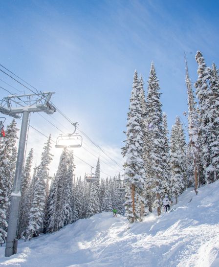 A snowy ski slope with a ski lift and pine trees under a clear blue sky, creating a serene winter landscape.