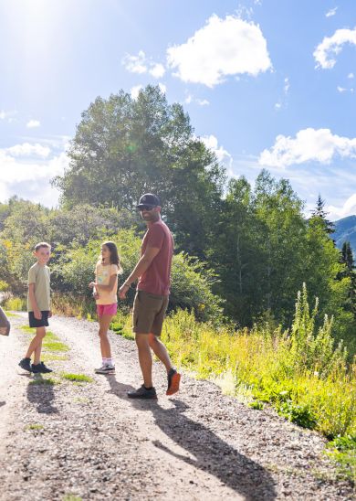 A group of four people hiking on a dirt path surrounded by lush greenery and mountain views under a sunny, blue sky with clouds.