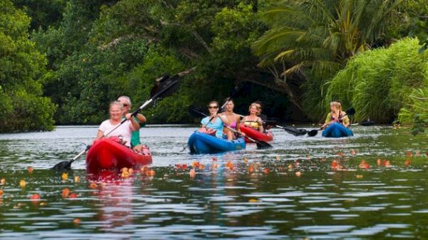 People kayaking on a lush, tropical river surrounded by greenery, with ducks or rubber duckies in the water.