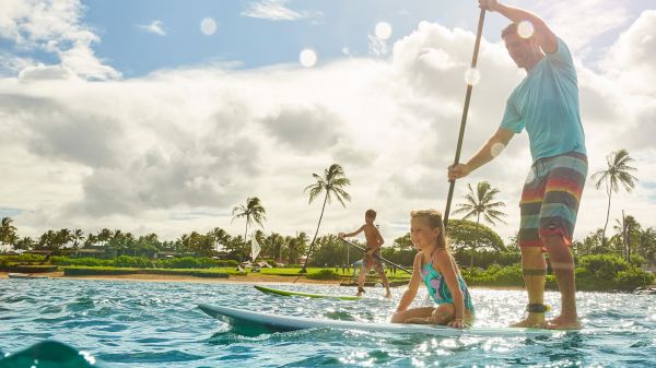 Two people paddleboarding in tropical waters, with another in the background, surrounded by palm trees under a sunny sky.
