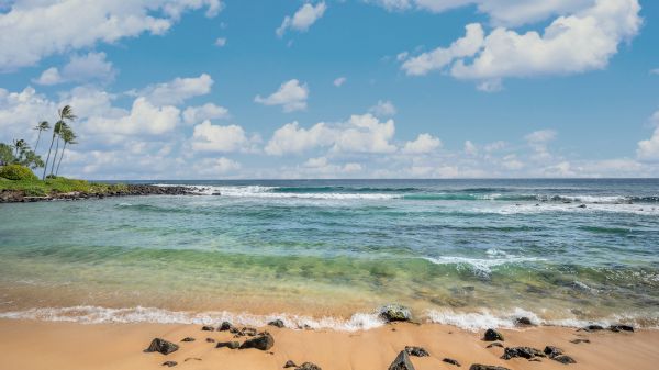 A serene beach scene with golden sand, clear blue water, distant waves, palm trees on the left, and a partly cloudy sky.