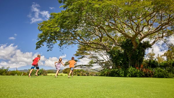 Three children run across a lush green field under a large tree, enjoying a sunny day with a backdrop of a clear blue sky.