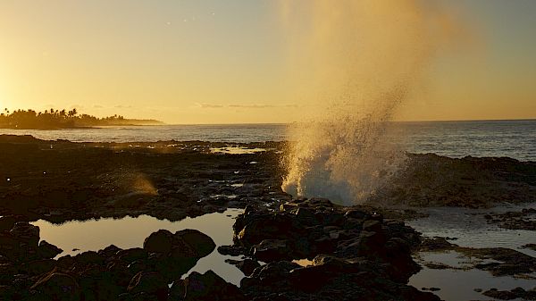 A rocky shoreline with water spraying into the air at sunset, creating a misty effect against the backdrop of the ocean horizon.