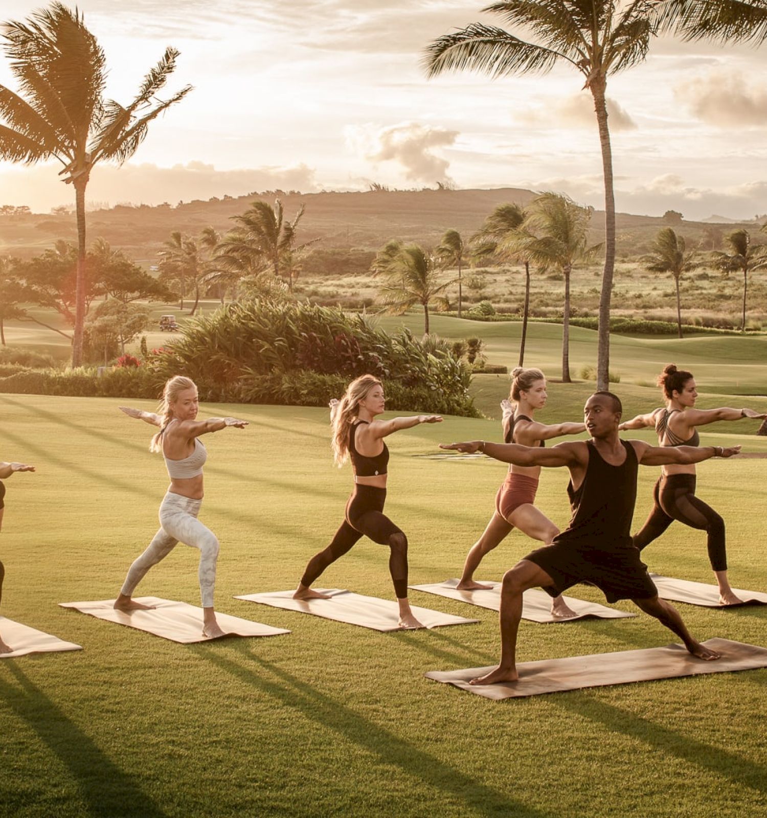 A group of people practice yoga outdoors on a grassy field, with palm trees and a scenic landscape in the background at sunset.
