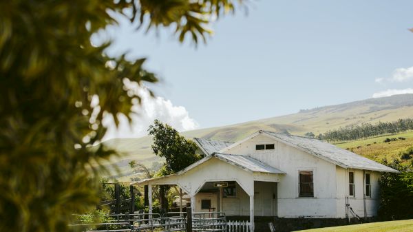 A white house sits in a sunny, rural landscape with green hills in the background and foliage in the foreground.