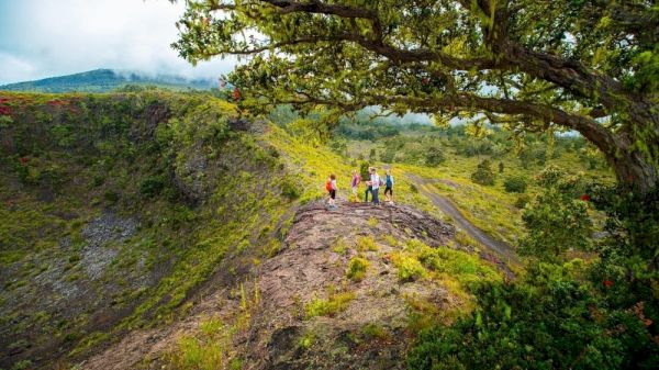 A group of people stand on a lush hillside, surrounded by green scenery and a large tree, with mountains and clouds in the background.