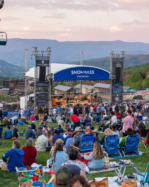 People gathered on a grassy hill enjoying a live outdoor concert with mountains in the background, featuring a stage and Ferris wheel.