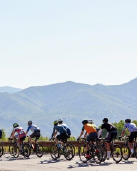 A group of cyclists rides together along a scenic road with mountains in the background, enjoying a sunny day.