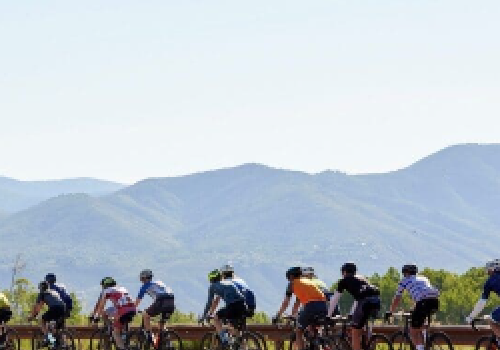 A group of cyclists rides together along a scenic road with mountains in the background, enjoying a sunny day.
