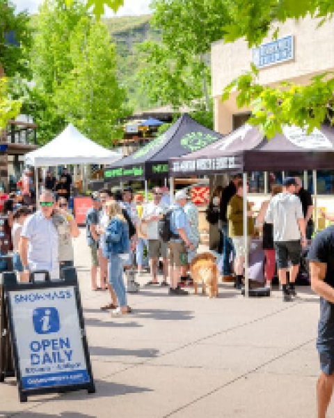 A bustling outdoor scene with people visiting market stalls under tents. A sign indicates "OPEN DAILY" for an information center or shop.