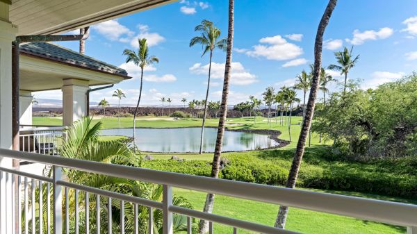 A sunny view from a balcony overlooking a green lawn, palm trees, and a small pond with a blue sky&mdash;tropical and peaceful.