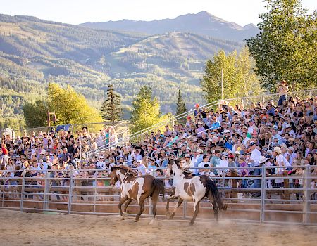A lively outdoor event with a crowd watching horses run in an arena, set against a scenic mountain backdrop under a clear sky.