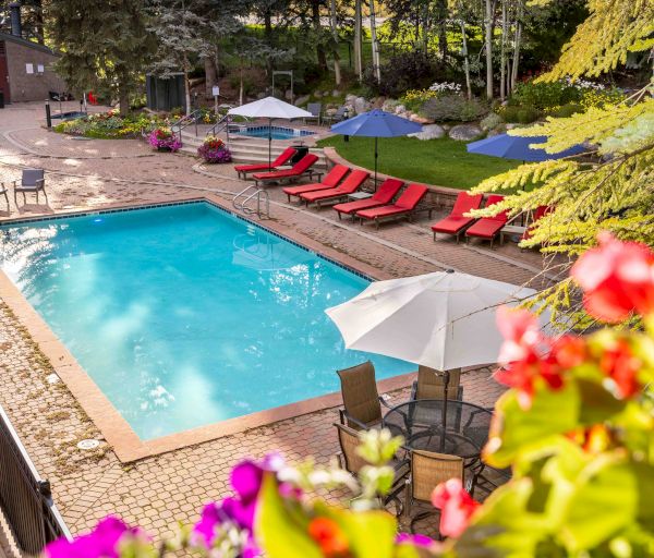 A serene outdoor pool area with red lounge chairs, umbrellas, and surrounding greenery, viewed from a colorful, flower-adorned perspective.