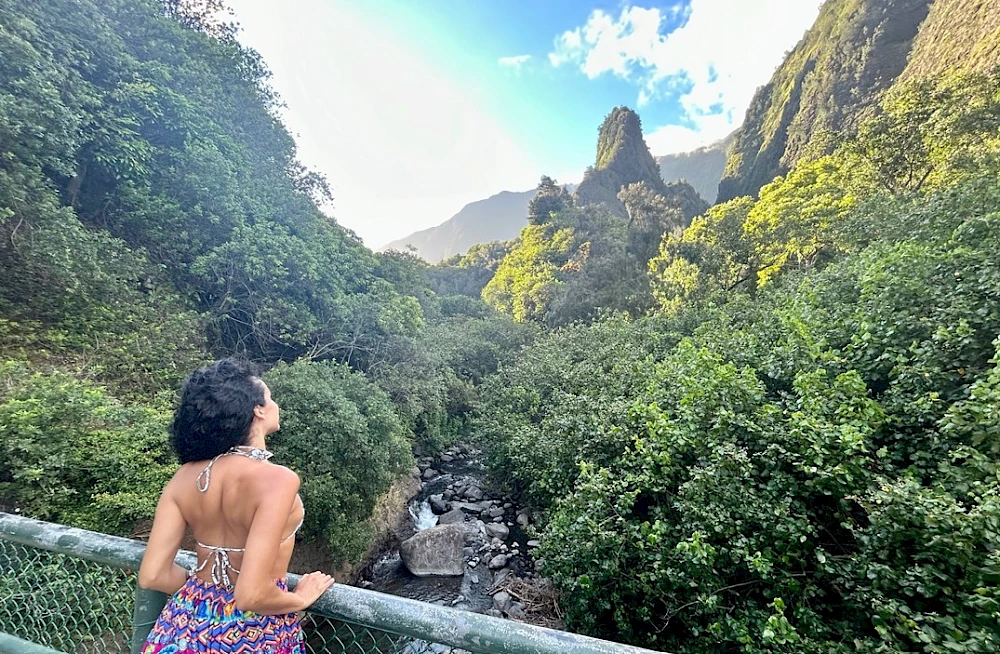A woman in a colorful dress stands at a railing, overlooking a lush jungle valley with towering green cliffs and distant mountains.