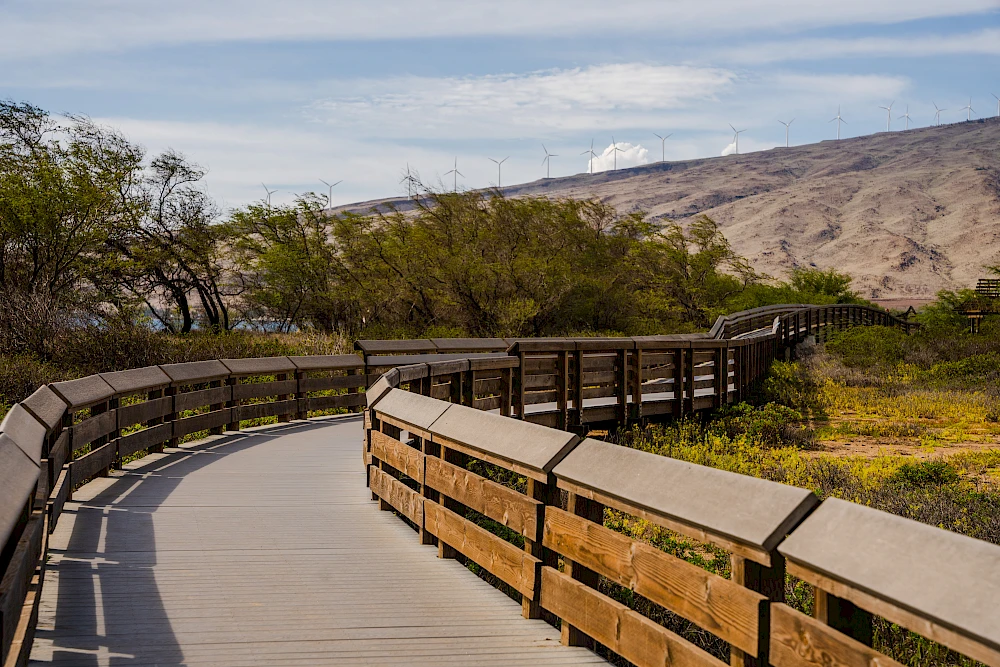 A winding wooden boardwalk curves along a sunny landscape with trees, low brush, and distant hills under a blue sky.