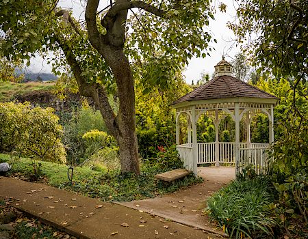 A serene garden scene with a white, octagonal gazebo, a winding path, lush greenery, and a large tree casting dappled shade.