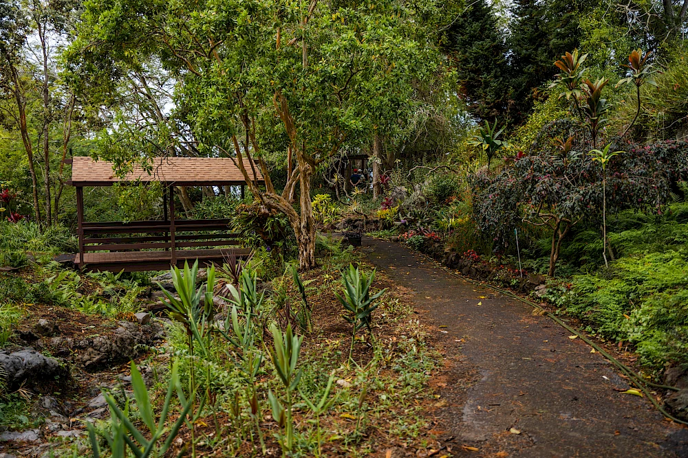 A winding garden path leads to a wooden gazebo, surrounded by lush trees, shrubs, and flowering plants in a serene, shaded park.