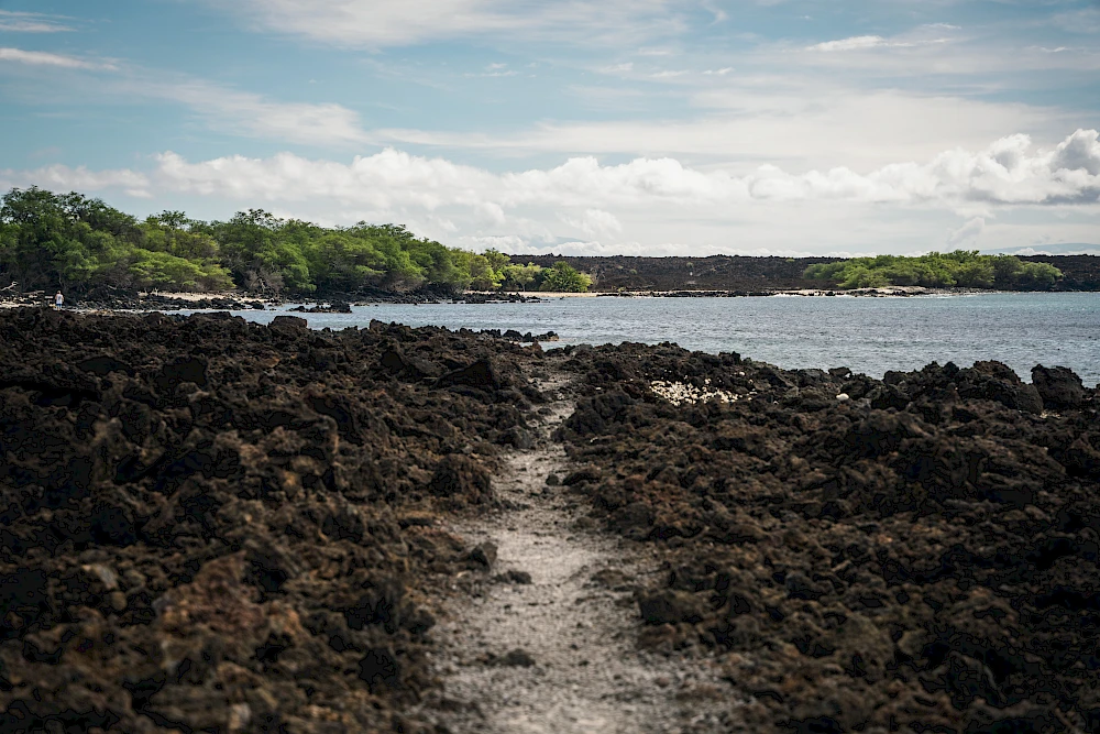 A rocky shoreline with dark volcanic rocks, a path leading to water, and greenery in the distance under a partly cloudy sky.