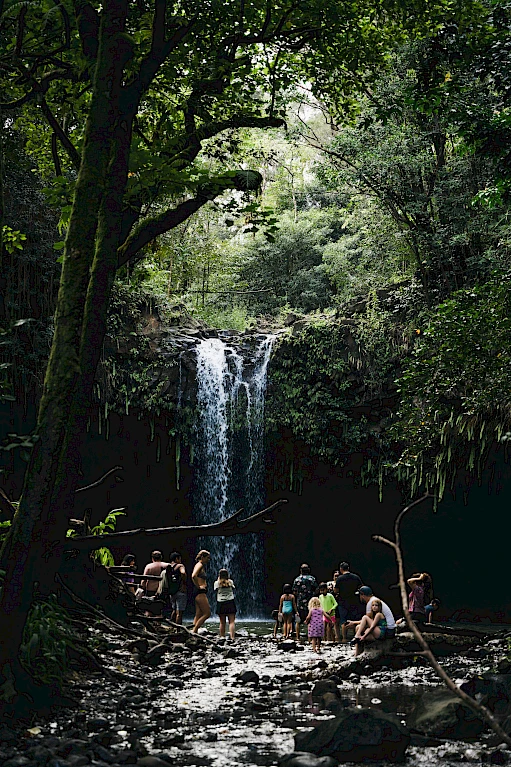 A waterfall cascades into a rocky pool, surrounded by lush jungle; people swim and relax at the base on a sunny, shaded day.