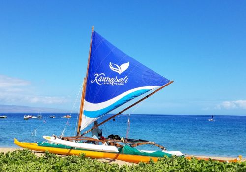 A small sailboat with a bright blue sail labeled &ldquo;Kona Sail&rdquo; rests on a green, beachy shoreline against a calm blue ocean and clear sky.