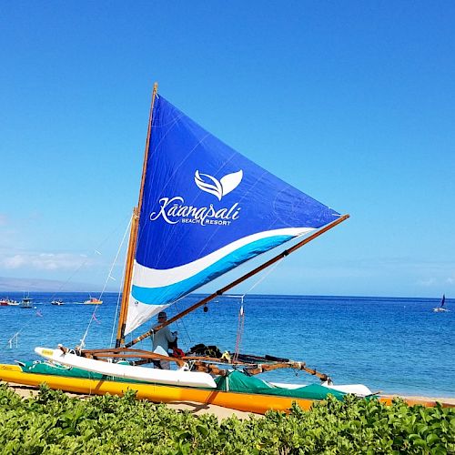 A small sailboat with a bright blue sail labeled &ldquo;Kona Sail&rdquo; rests on a green, beachy shoreline against a calm blue ocean and clear sky.