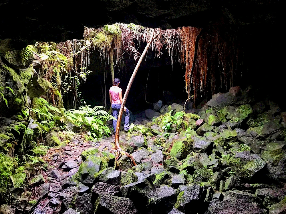 A person stands inside a dark cave, surrounded by green plants and jagged rocks, with a long pale stalactite or root hanging overhead.