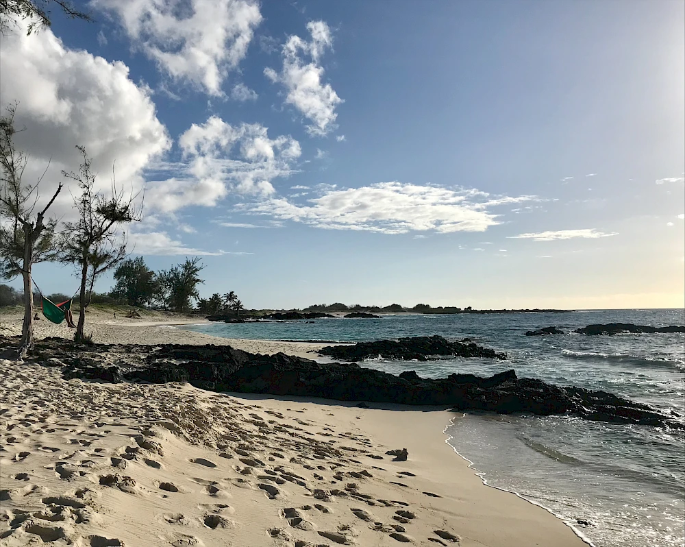 A sunny beach scene with sandy shore, rocky outcrops, a few trees, and calm ocean waves under a blue sky with fluffy clouds.