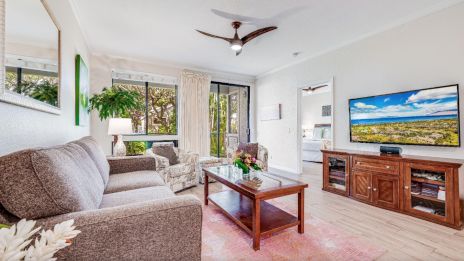 A cozy living room with a sofa, armchair, coffee table, TV, and large windows. There&rsquo;s a ceiling fan and potted plants adding decor.