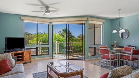 A spacious living room with blue walls, large windows, a seating area, TV, coffee table, and a dining table with chairs.