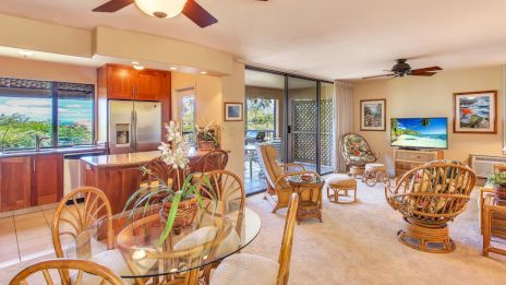 Cozy living area with rattan furniture, a TV, dining table, kitchen, large windows with greenery view, and ceiling fans.