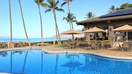 A tropical resort scene with a pool, palm trees, and a building with patio seating under umbrellas, overlooking the ocean.