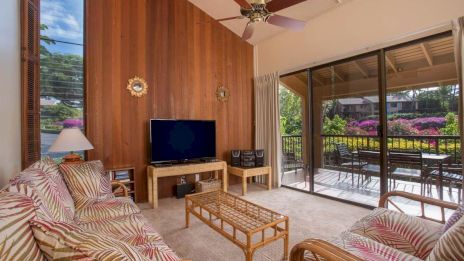 A cozy living room with wooden walls, a TV, wicker furniture, large windows showing an outdoor patio with greenery and flowers, and a ceiling fan.