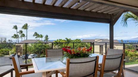 A patio with a table and chairs overlooks a tropical landscape with palm trees and ocean views, under a pergola-style roof.