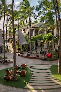A sunny resort courtyard with palm trees, lounge chairs, and a central stepped path, surrounded by two-story guest buildings, perfect for relaxing.