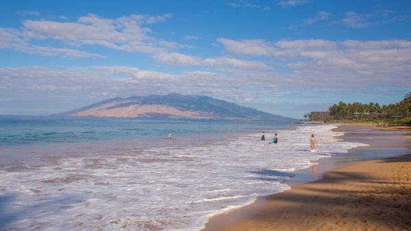 A sunny beach scene with gentle waves, a sandy shore, and a few people swimming near the waterline, with distant hills under a blue sky.