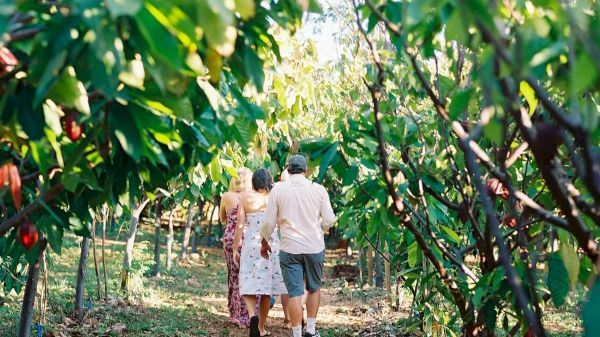 Three people walk through a lush, sunlit orchard or garden, surrounded by green leaves and fruit on trees.