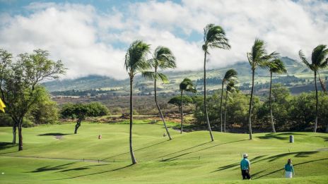 A scenic golf course with waving palm trees, two golfers walking on the green, and cloudy skies above distant mountains.