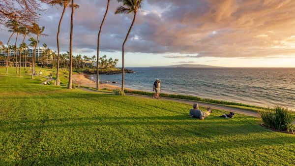 A coastal park scene with palm trees, a grassy area, people relaxing, and a sunset over the ocean in the background.