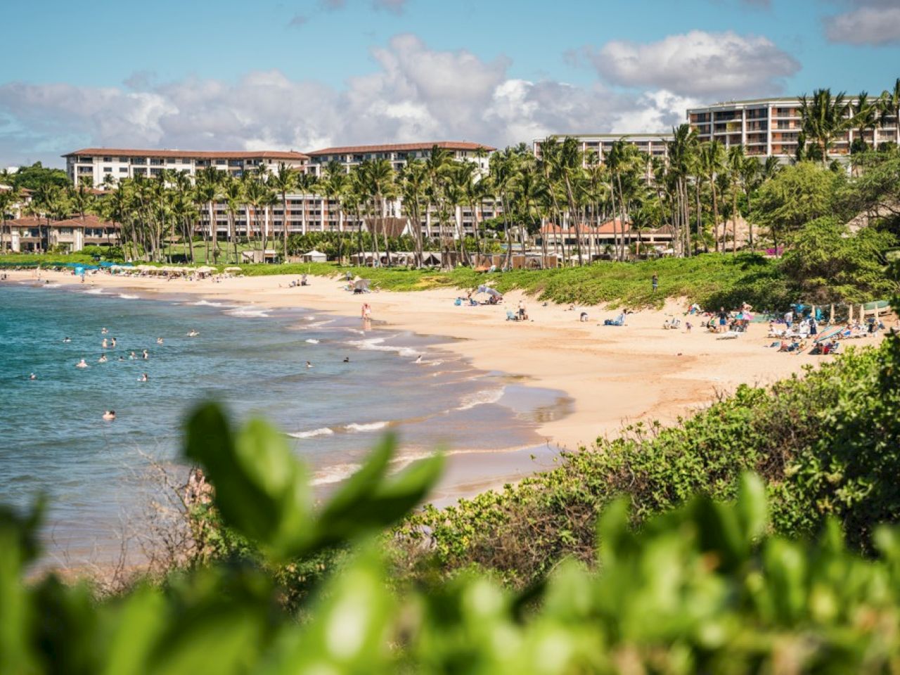 A scenic beach with people, lined with palm trees and buildings in the background, under a partly cloudy sky.