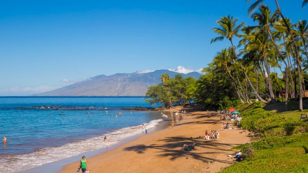 A sunny beach scene with people relaxing on the sand, palm trees lining the shore, and a mountain visible in the background across the ocean.