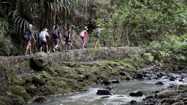A group of people hiking along a lush, forested trail beside a rocky stream.