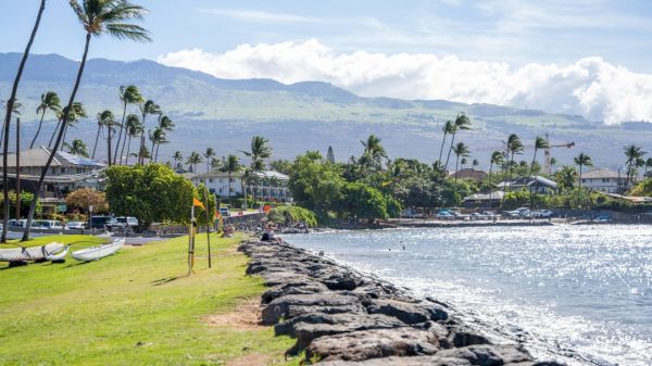 A coastal scene with palm trees, rocky shoreline, and mountains in the background. The sky is clear with some clouds.