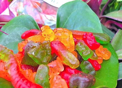 Colorful gummy candies on green leaves, with red, orange, yellow, and green chunks.